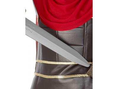 Sabie de roman cu teaca