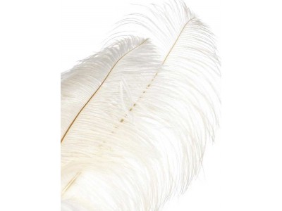 Masca venetiana Columbina alba