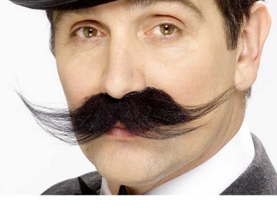 Mustata neagra de inspector