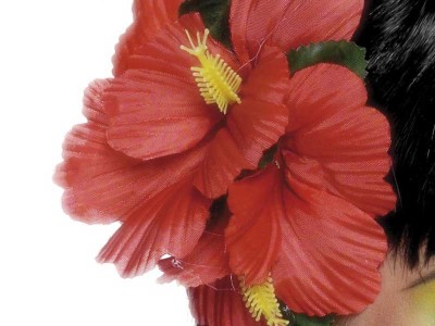 Floare rosie hawaii