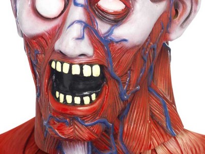 Masca Anatomy Man Halloween